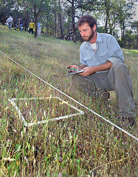 Man in field, kneels holding a clipboard and examines a patch of grasses that is sectioned out in a rectangular frame.