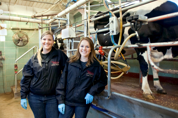 Two women, dressed in matching black jackets, light blue rubber gloves, and dark blue jeans lean against a large enclosure with horizontal bars cascading to the background. Tubes, hoses, and wires adorn the enclosure which contains one large bovine, leading out of frame to the right and one peaking into frame in the background.