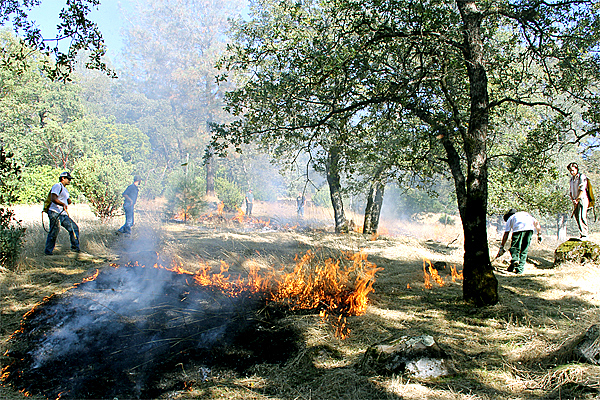 Earth is intentionally scorched by four individuals.  To the right, a person in green pants bends down holding something, presumably, a stick of sorts to ignite the dry grass that abounds in this outdoor photo.  One man on the left wears a backpack with some sort of stick attached to it.