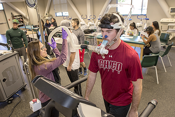 Women in purple, wearing purple gloves, holds a corrugated tube attached to the mouthpiece of a device.  A man, wearing an Under Armor brand t-shirt with "Chico State" on it, walks on a treadmill and wears the device on his head.  Several people stand and/or sit at tables in the background.