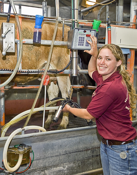 Woman standing in dairy pen smiles as she operates a machine with a cow in tow.