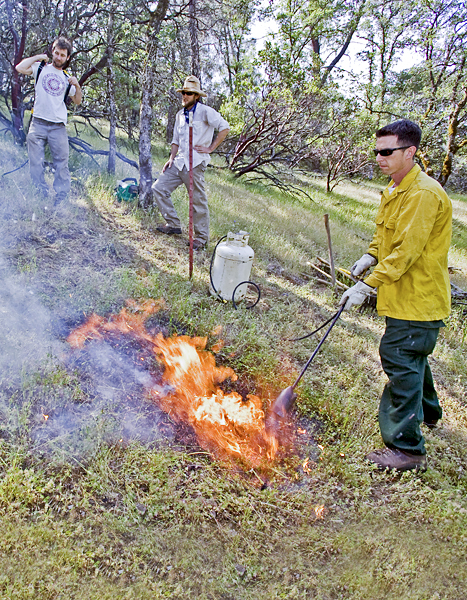 Man in yellow jacket starts a controlled burn using a wand connected to a propane tank.