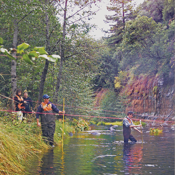 Two men wearing waders, holding depth checkers, move from wooded bank (left) into the stream (right). Two other women stand on the bank, one writes on a clip board.